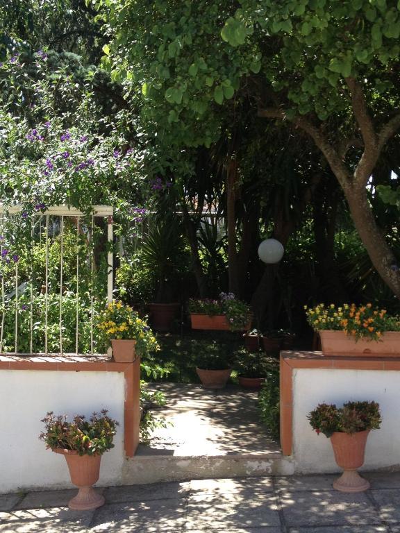 B&B Solacium Matera Eksteriør billede